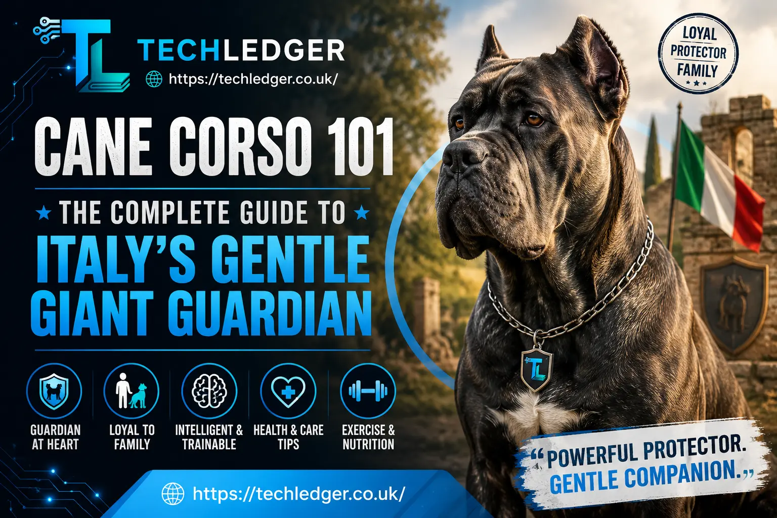 cane corso