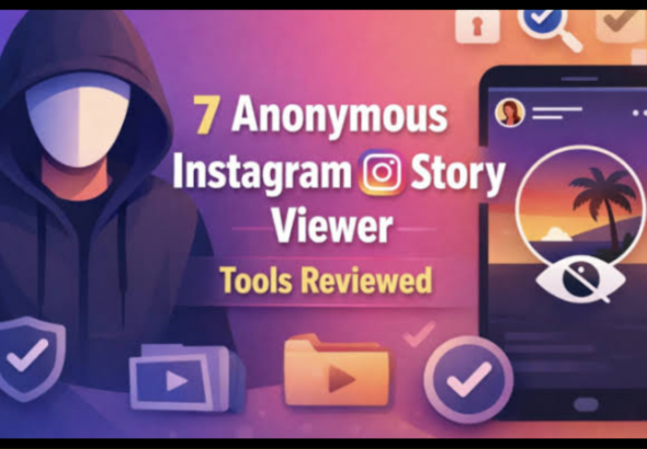 Insta Story Viewer